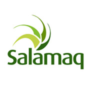  Salamaq